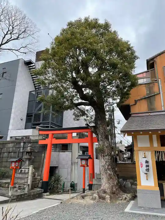 安井金比羅宮(京都府)