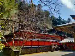 丹生都比売神社の本殿