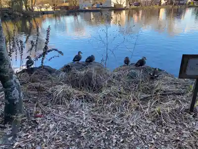 乃木神社(栃木県)