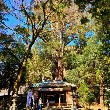 武速神社の本殿・本堂
