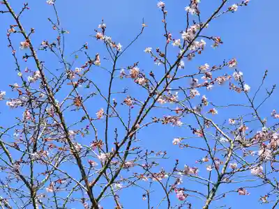 真福寺(岡山県)