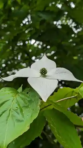 音更神社の自然