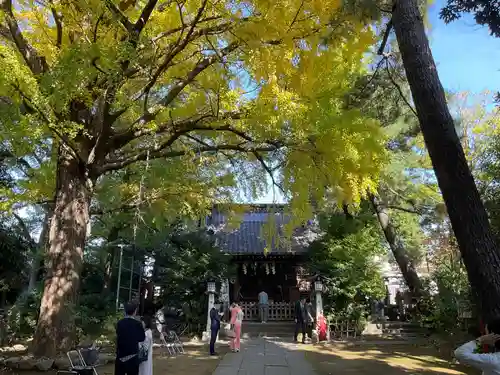 長崎神社(東京都)