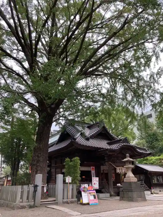 田無神社の本殿・本堂
