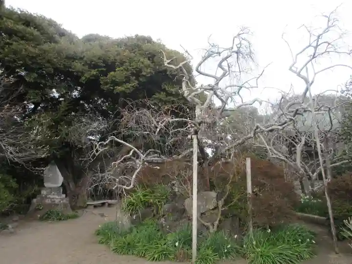 宝戒寺(神奈川県)