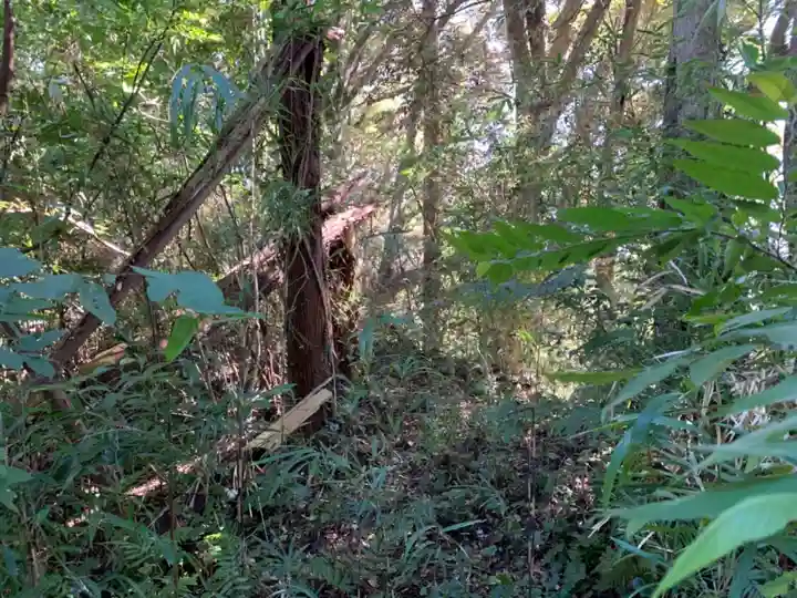 八幡神社(千葉県)
