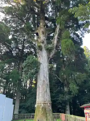 霧島神宮(鹿児島県)