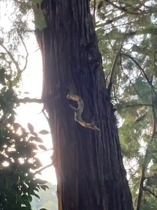 高岡神社(岡山県)