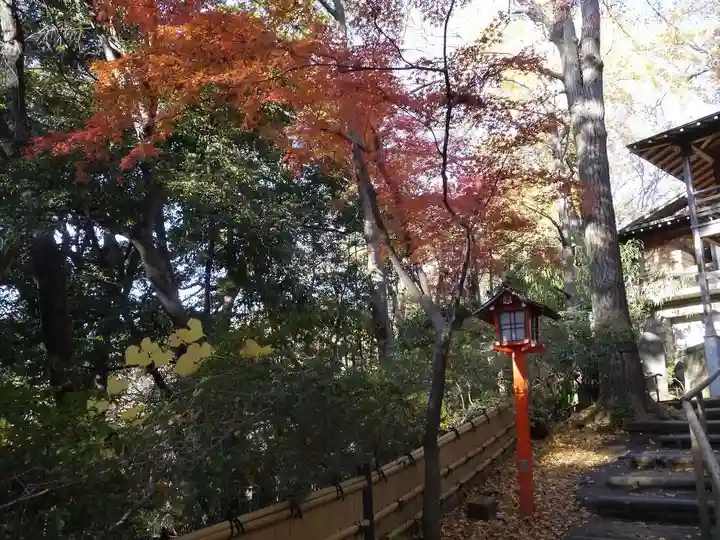 明王院(満願寺別院)の自然