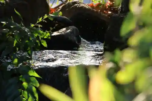 立川熊野神社の{uncategorized: "未分類", other: "その他", undefined: "問題あり", building: "その他建物", grave: "お墓", sacred_gate: "鳥居", guardian: "狛犬", statue: "像", buddha: "仏像", history: "歴史", nature: "自然", garden: "庭園", animal: "動物", pagoda: "塔", temizu: "手水舎", mountain_gate: "山門・神門", sanctuary: "本殿・本堂", subordinate: "末社・摂社", art: "芸術", scenery: "景色", jizo: "地蔵", ema: "絵馬", goshuin: "御朱印", omikuji: "おみくじ", items: "授与品その他", amulet: "お守り", goshuincho: "御朱印帳", eats: "食事", festival: "お祭り", votive_dance: "神楽", shichigosan: "七五三参", wedding: "結婚式", experience: "体験その他", initially: "初詣", around: "周辺", anti_infection: "感染症対策"}