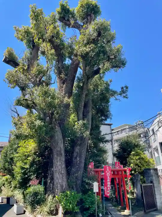 玉井稲荷神社の{uncategorized: "未分類", other: "その他", undefined: "問題あり", building: "その他建物", grave: "お墓", sacred_gate: "鳥居", guardian: "狛犬", statue: "像", buddha: "仏像", history: "歴史", nature: "自然", garden: "庭園", animal: "動物", pagoda: "塔", temizu: "手水舎", mountain_gate: "山門・神門", sanctuary: "本殿・本堂", subordinate: "末社・摂社", art: "芸術", scenery: "景色", jizo: "地蔵", ema: "絵馬", goshuin: "御朱印", omikuji: "おみくじ", items: "授与品その他", amulet: "お守り", goshuincho: "御朱印帳", eats: "食事", festival: "お祭り", votive_dance: "神楽", shichigosan: "七五三参", wedding: "結婚式", experience: "体験その他", initially: "初詣", around: "周辺", anti_infection: "感染症対策"}
