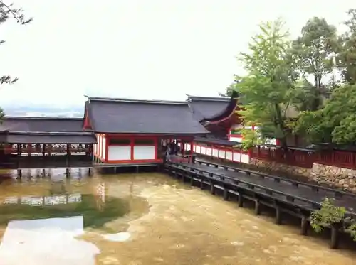 厳島神社の本殿