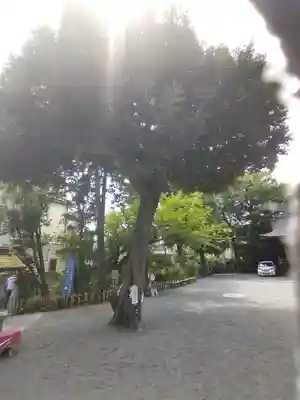 七社神社(東京都)