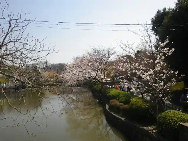 鶴岡八幡宮の庭園