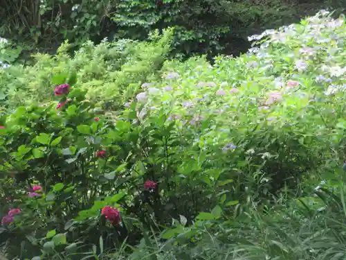 長壽寺（長寿寺）(神奈川県)