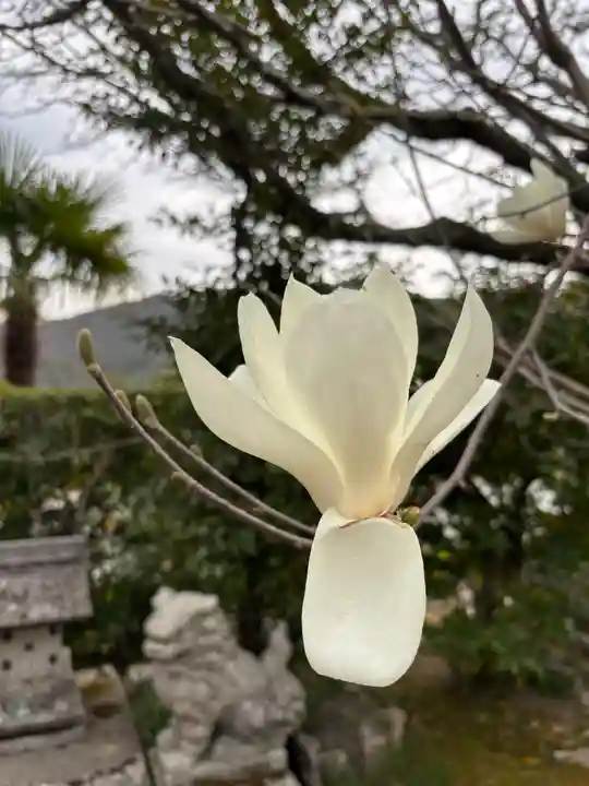 和田寺(兵庫県)