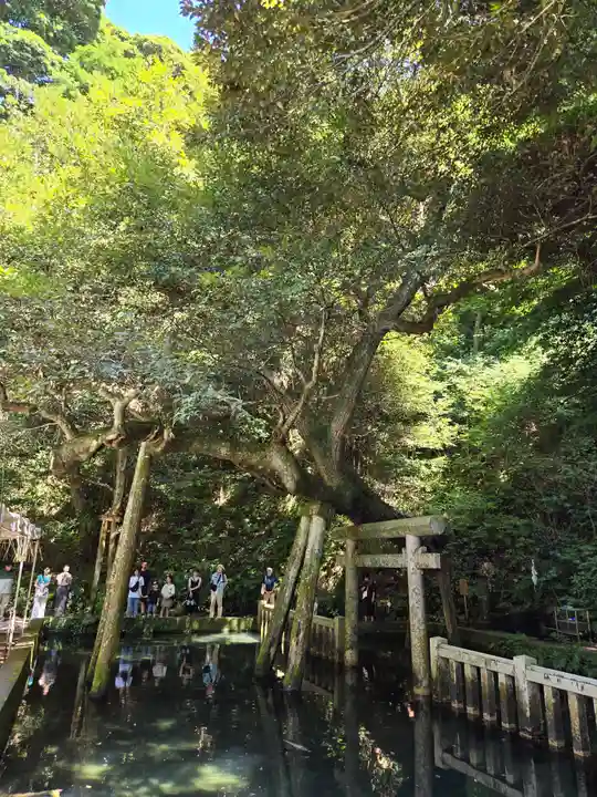 鹿島神宮(茨城県)