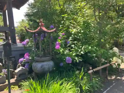 祥泉院(神奈川県)