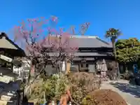 妙祝寺(東京都)
