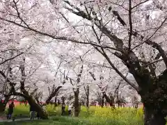 平野神社(京都府)