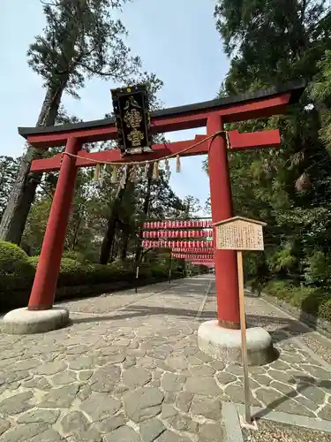 大崎八幡宮の鳥居