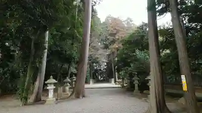 御上神社(滋賀県)