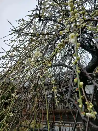 寛永寺(根本中堂)の{uncategorized: "未分類", other: "その他", undefined: "問題あり", building: "その他建物", grave: "お墓", sacred_gate: "鳥居", guardian: "狛犬", statue: "像", buddha: "仏像", history: "歴史", nature: "自然", garden: "庭園", animal: "動物", pagoda: "塔", temizu: "手水舎", mountain_gate: "山門・神門", sanctuary: "本殿・本堂", subordinate: "末社・摂社", art: "芸術", scenery: "景色", jizo: "地蔵", ema: "絵馬", goshuin: "御朱印", omikuji: "おみくじ", items: "授与品その他", amulet: "お守り", goshuincho: "御朱印帳", eats: "食事", festival: "お祭り", votive_dance: "神楽", shichigosan: "七五三参", wedding: "結婚式", experience: "体験その他", initially: "初詣", around: "周辺", anti_infection: "感染症対策"}