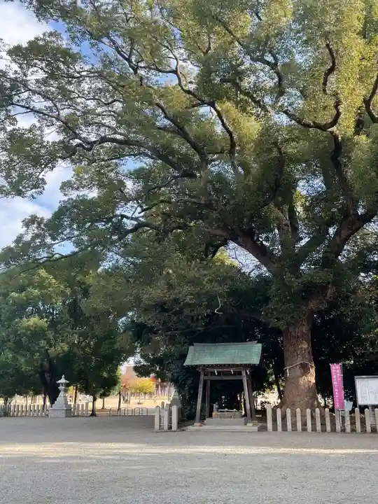 曽禰神社(大阪府)