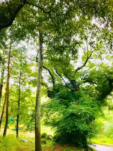 飯名神社の庭園