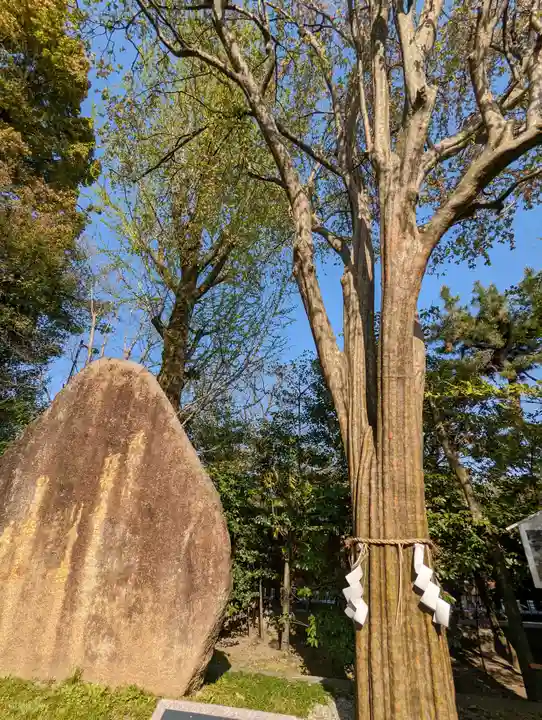 護王神社(京都府)