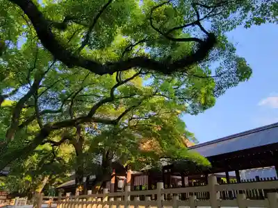 熱田神宮の本殿・本堂
