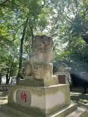 碑文谷八幡宮の狛犬