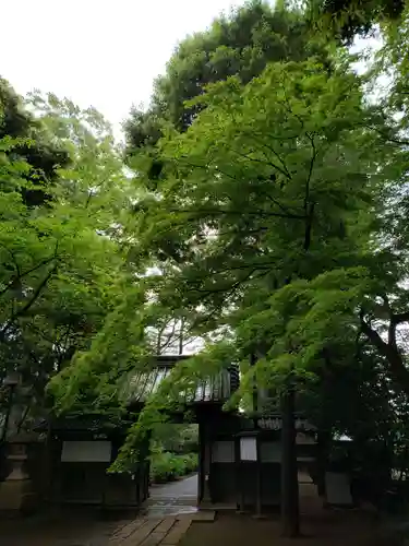 妙法寺の山門