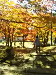 土津神社｜こどもと出世の神さまの庭園