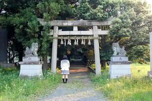 三ケ尻八幡神社の鳥居