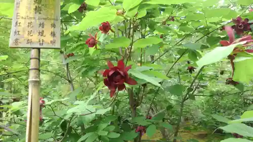 天龍寺(京都府)