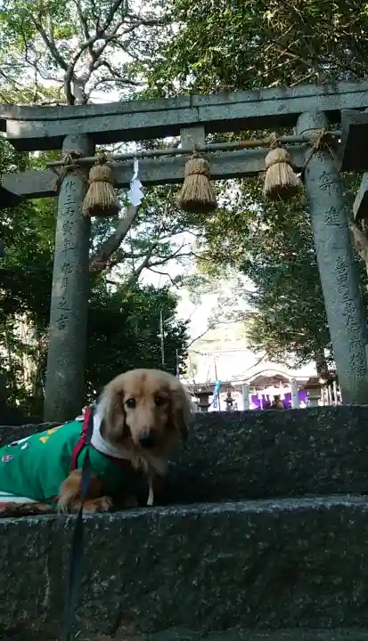 葛原八幡神社の{uncategorized: "未分類", other: "その他", undefined: "問題あり", building: "その他建物", grave: "お墓", sacred_gate: "鳥居", guardian: "狛犬", statue: "像", buddha: "仏像", history: "歴史", nature: "自然", garden: "庭園", animal: "動物", pagoda: "塔", temizu: "手水舎", mountain_gate: "山門・神門", sanctuary: "本殿・本堂", subordinate: "末社・摂社", art: "芸術", scenery: "景色", jizo: "地蔵", ema: "絵馬", goshuin: "御朱印", omikuji: "おみくじ", items: "授与品その他", amulet: "お守り", goshuincho: "御朱印帳", eats: "食事", festival: "お祭り", votive_dance: "神楽", shichigosan: "七五三参", wedding: "結婚式", experience: "体験その他", initially: "初詣", around: "周辺", anti_infection: "感染症対策"}