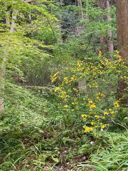 妙本寺(神奈川県)