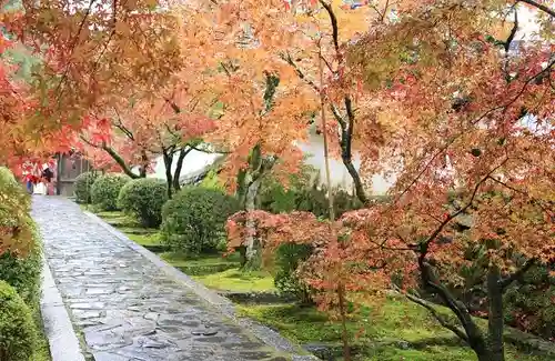 酬恩庵一休寺(京都府)