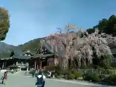 久遠寺の建物その他