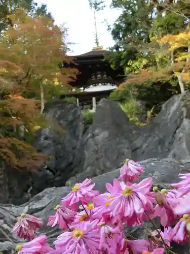 石山寺の建物その他