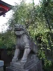 筑土八幡神社の狛犬