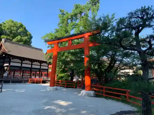 賀茂御祖神社（下鴨神社）の鳥居