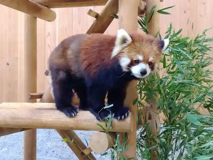 誠照寺(福井県)