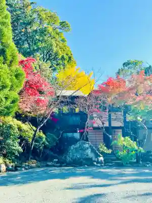 鎌倉宮(神奈川県)