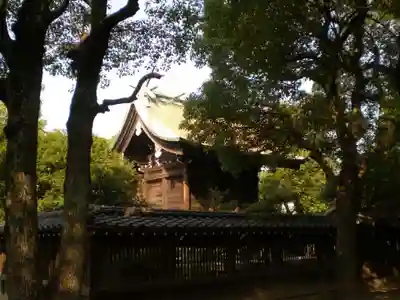 飛幡八幡宮の本殿・本堂