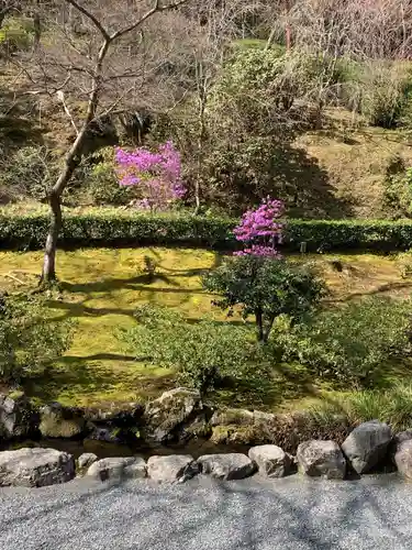 天龍寺の庭園