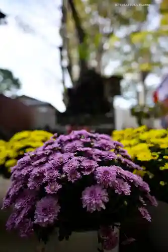 笠間稲荷神社(茨城県)