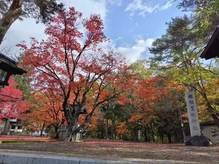 鷹栖神社の庭園