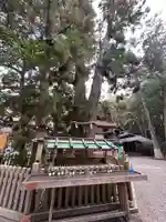 大神神社(奈良県)